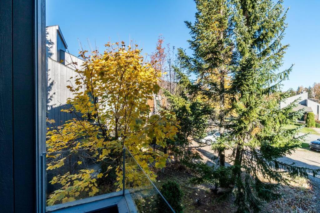 Initial - Sommet - Mont-Sainte-Anne Beaupré Exterior foto